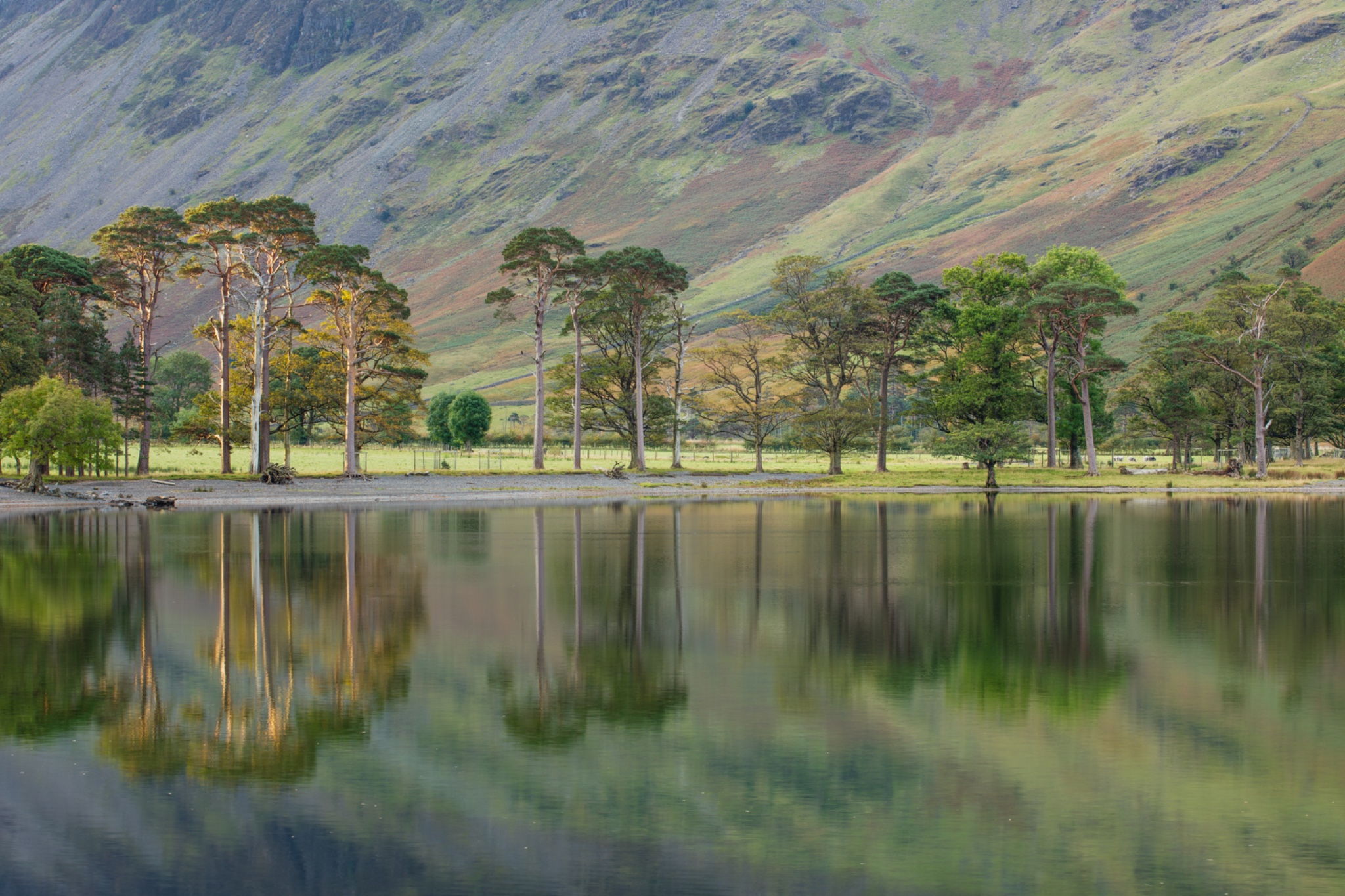 England, Cumbria, Lake District National Park.